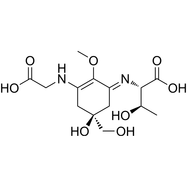Porphyra 334