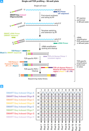 SMARTer Human scTCR a/b Profiling Kit—elucidate alpha-beta chain pairings of T-cell receptors in single cells - Next-generati
