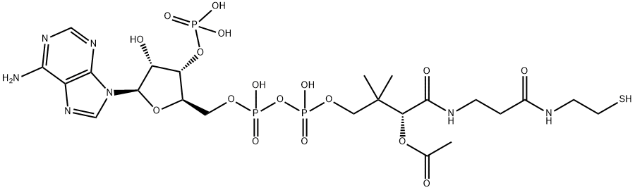Acetyl coenzyme A