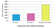Human Mitochondrial DNA (mtDNA) Monitoring Primer Set - Stem cell research - Takara Bio
