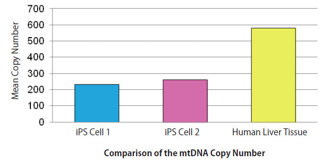 Human Mitochondrial DNA (mtDNA) Monitoring Primer Set - Stem cell research - Takara Bio
