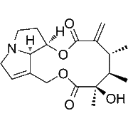 Senecivernine