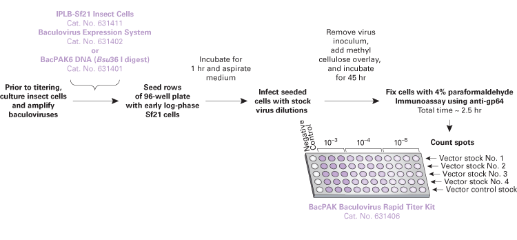 Baculovirus titration kits - Protein research - Takara Bio