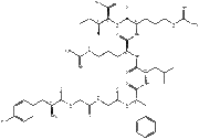 Dynorphin A (1-8)