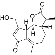 Jacquilenin