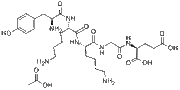 β-Endorphin (27-31) (human)