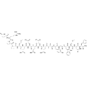 Gastrin I, rat