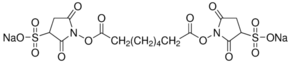 BS3 (bis(sulfosuccinimidyl)suberate)