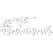 BMP2-derived peptide