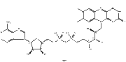 Flavin adenine dinucleotide disodium (≥99%)