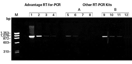 Reverse transcription and cDNA synthesis kit - mRNA and cDNA synthesis - Takara Bio
