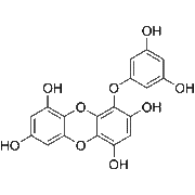 Eckol