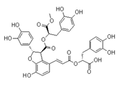 9-Methyl-lithospermate-B