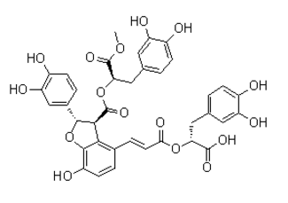 9-Methyl-lithospermate-B