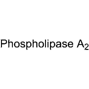 Phospholipase A2