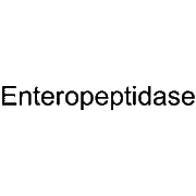 Enteropeptidase