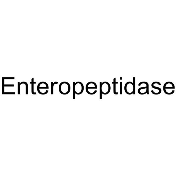 Enteropeptidase