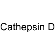 Cathepsin D