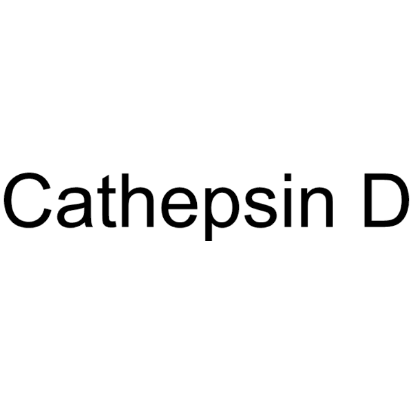 Cathepsin D
