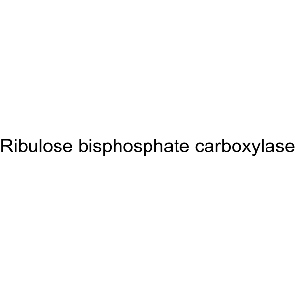 Ribulose bisphosphate carboxylase