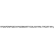 Neuropeptide Y (human, rat, mouse)