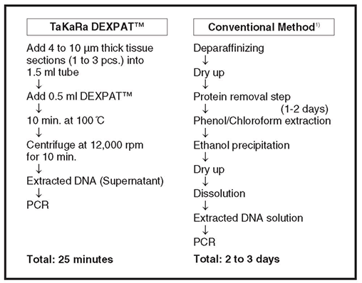 DNA extraction from FFPE samples - Cloning - Takara Bio