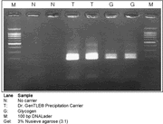 Dr. GenTLE (gene trapping by liquid extraction) systems - Cloning - Takara Bio