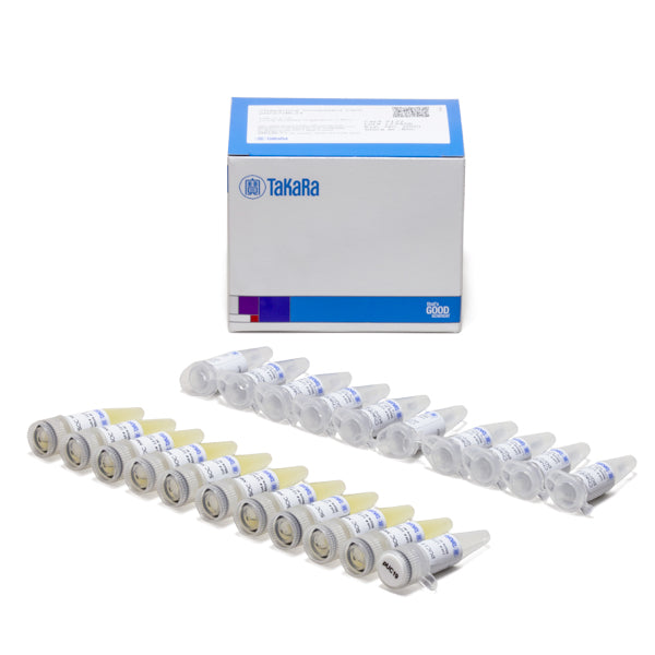 Chaperone competent cells - Protein research - Takara Bio
