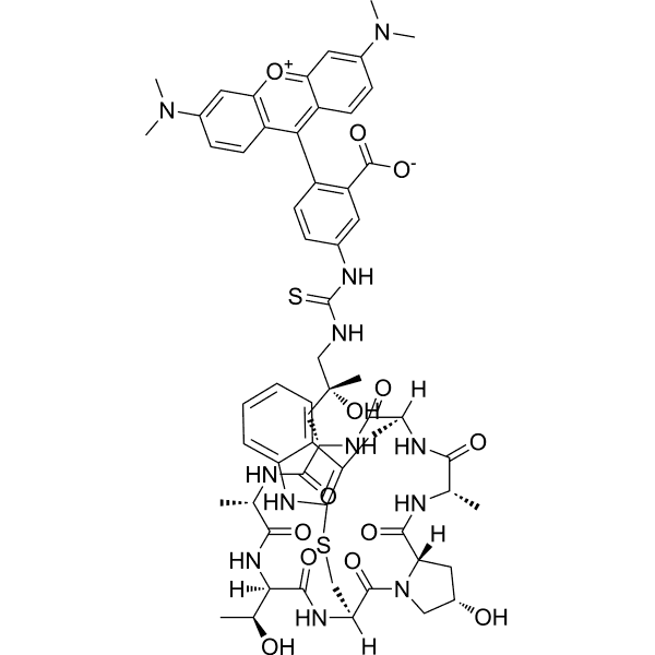 Phalloidin-TRITC