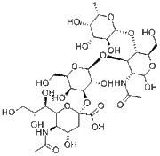 3′-Sialyl-Lewis-a tetrasaccharide