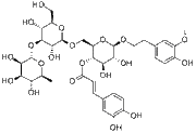 Cistanoside A
