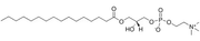 L-α-lysophosphatidylcholine (soybean)