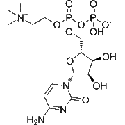 Citicoline