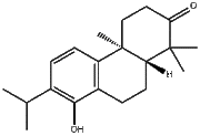 Triptonoterpene