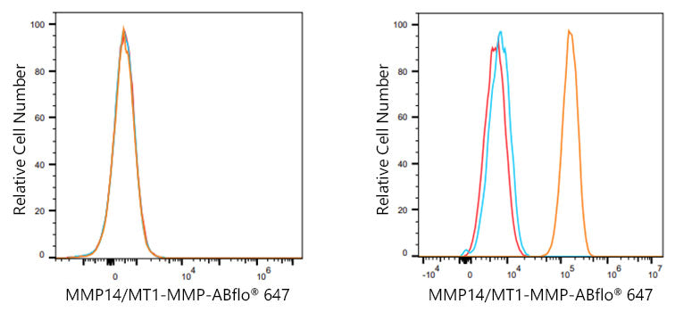 MMP14/MT1-MMP Rabbit mAb