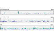 [KO Validated] CDK9 Rabbit mAb