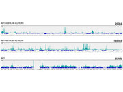 E2F6 Rabbit mAb