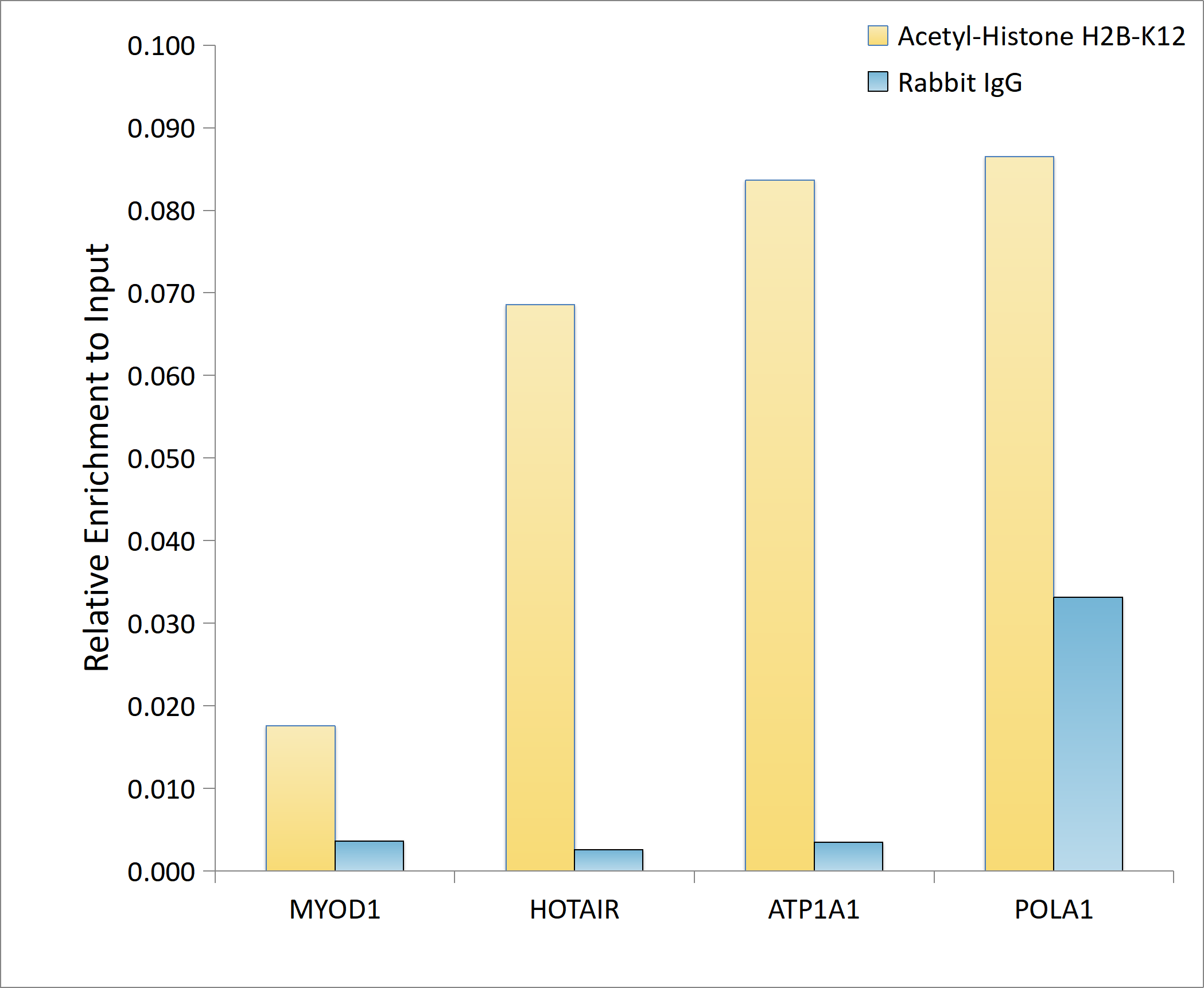 Acetyl-Histone H2B-K12 Rabbit pAb