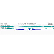 TriMethyl-Histone H3-K27 Mouse mAb