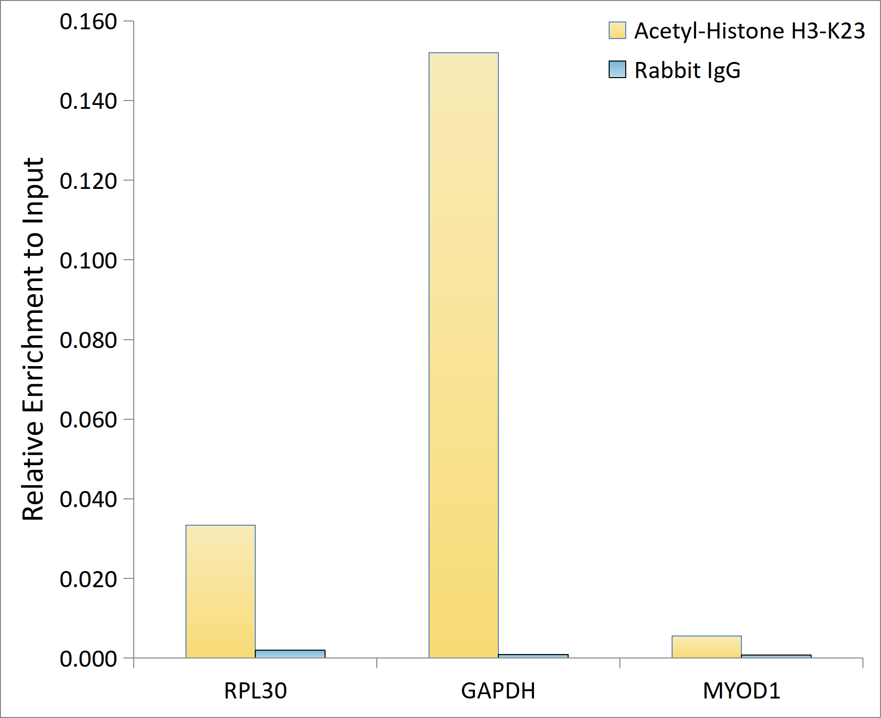 Acetyl-Histone H3-K23 Rabbit pAb