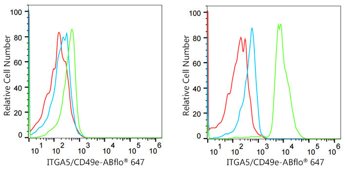 Integrin alpha 5 (ITGA5/CD49e) Rabbit mAb