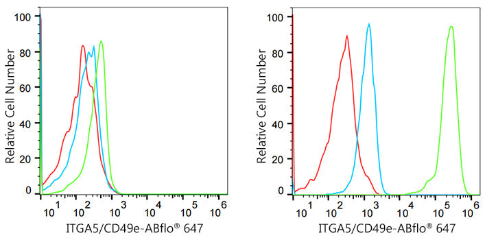 Integrin alpha 5 (ITGA5/CD49e) Rabbit mAb
