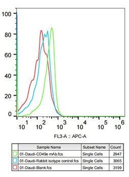 Integrin alpha 5 (ITGA5/CD49e) Rabbit mAb