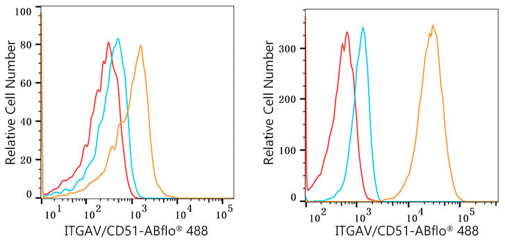 Integrin alpha V (ITGAV/CD51) Rabbit mAb