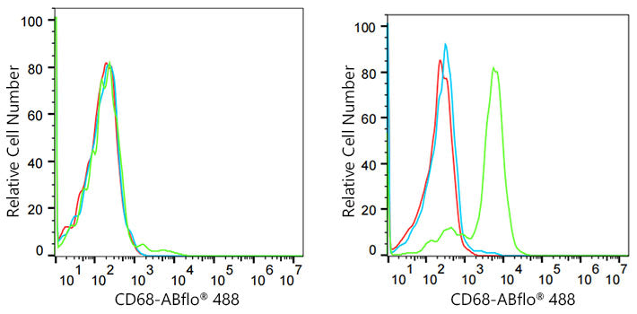 ICAM-1/CD54 Rabbit mAb