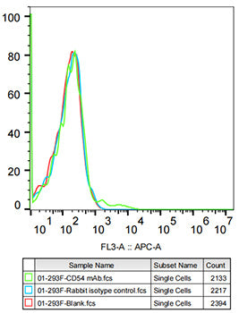 ICAM-1/CD54 Rabbit mAb