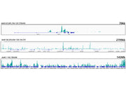 CTCF Rabbit mAb
