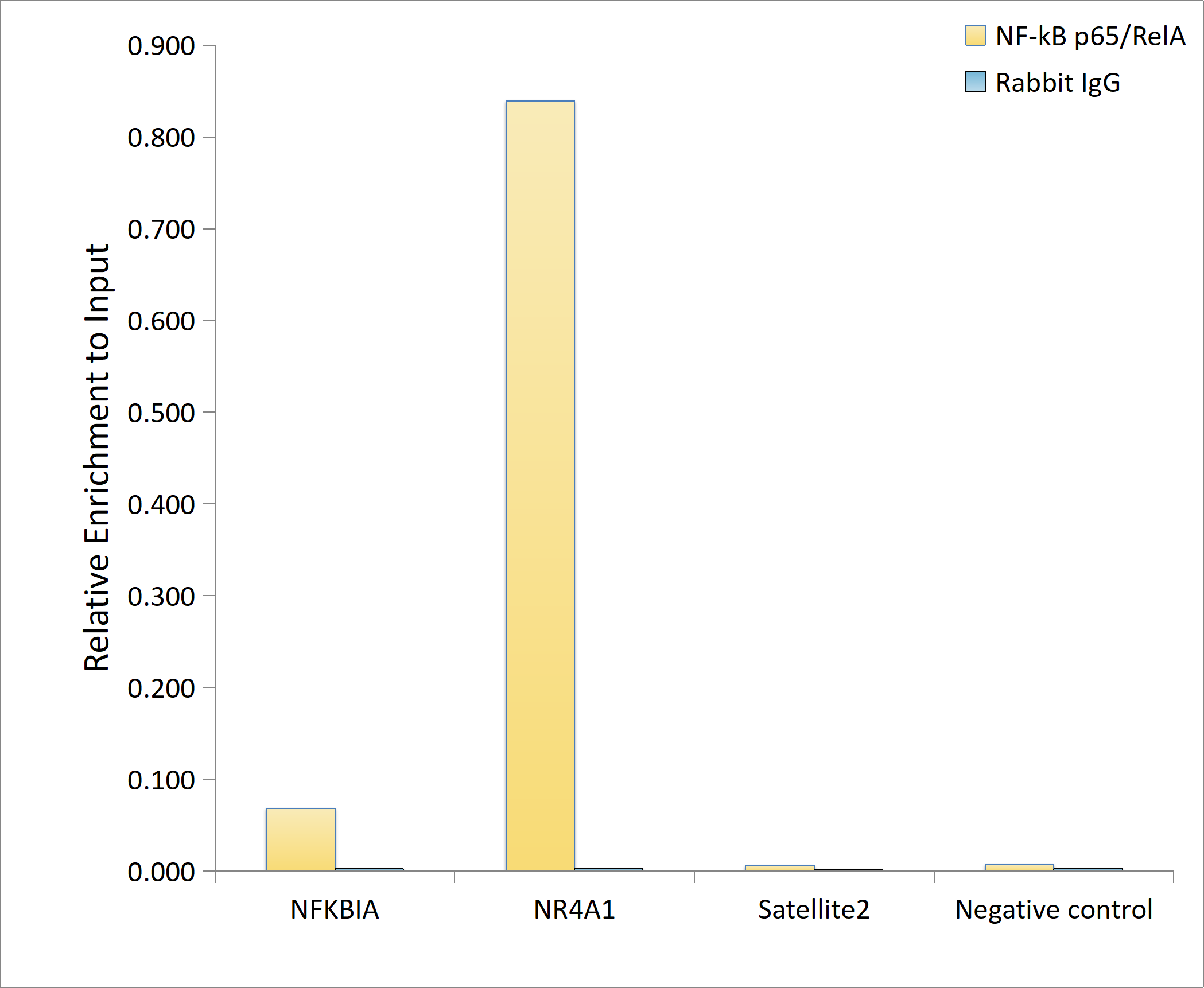 [KO Validated] NF-kB p65/RelA Rabbit mAb