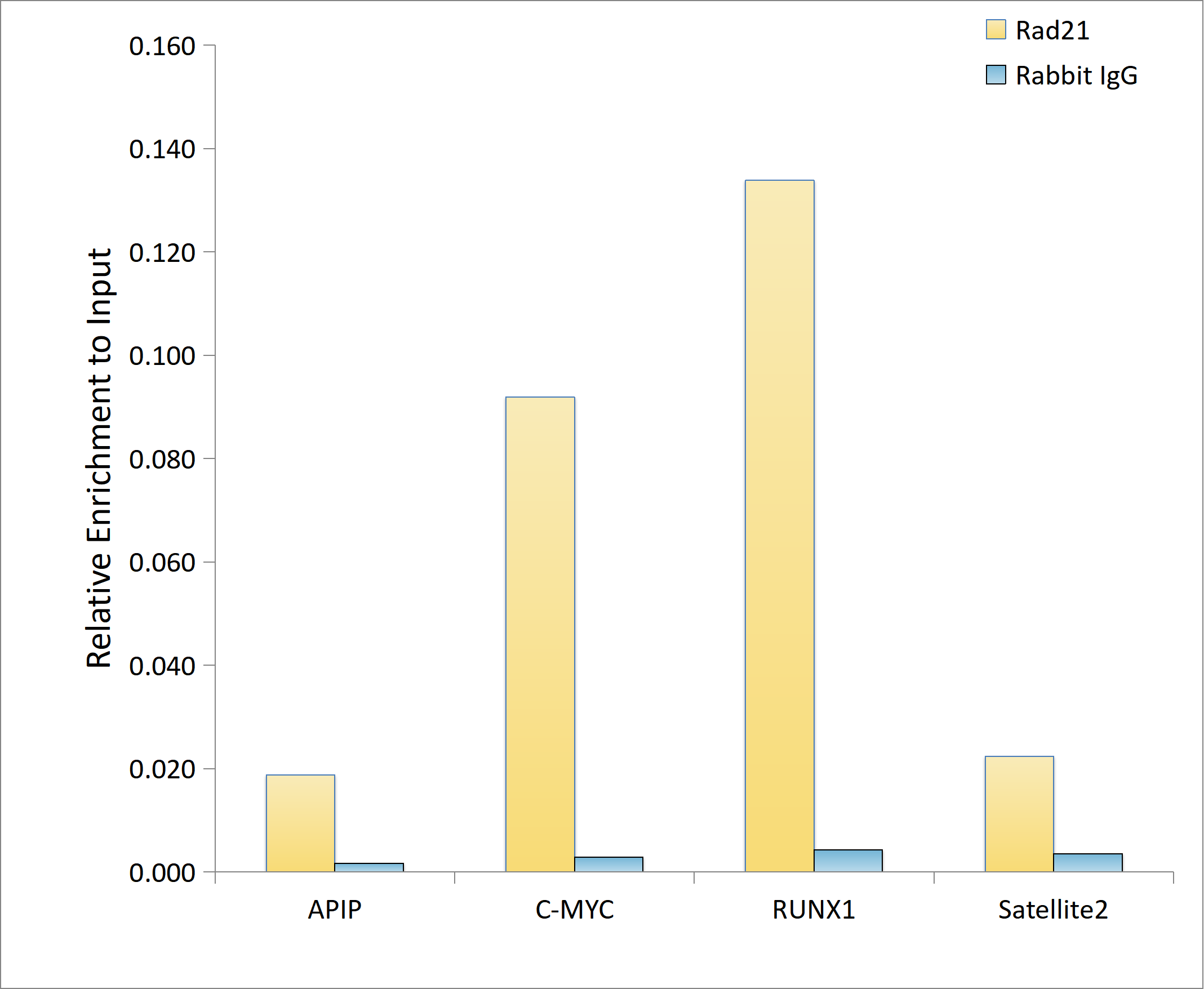 Rad21 Rabbit mAb