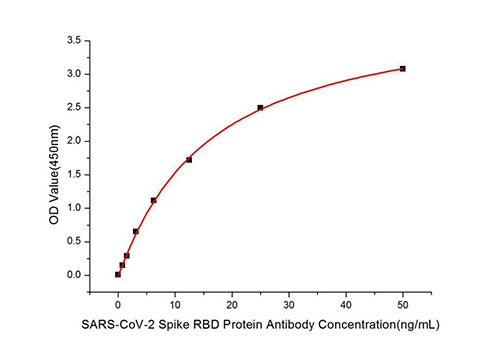 SARS-CoV-2 Spike RBD Rabbit pAb